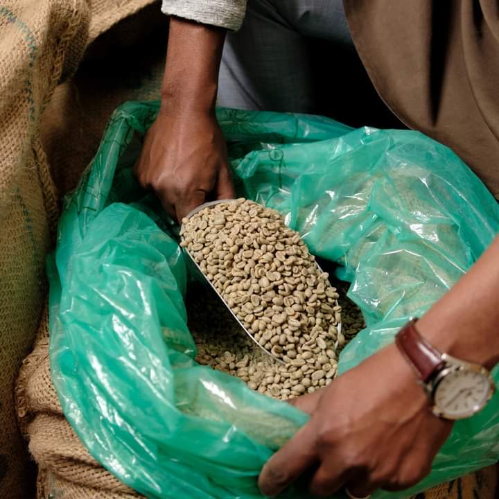 Green Coffee Beans - Cafe Pergamino - Washed & sun dried.