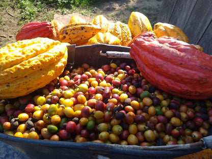 Blend Montaña - Ground Coffee Beans - Medium Roast - Washed & sun dried.
