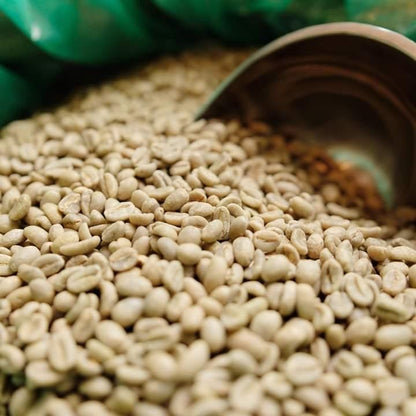 Green Coffee Beans - Cafe Pergamino - Washed & sun dried.