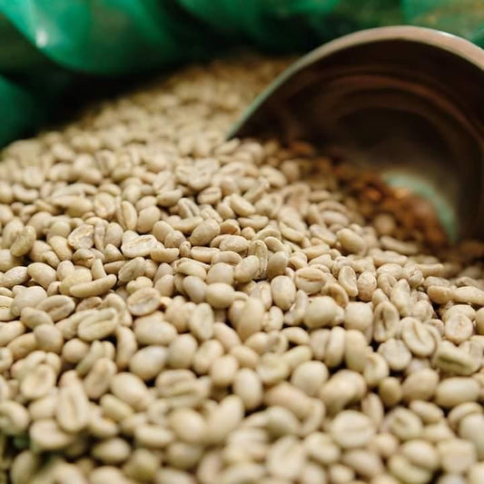 Green Coffee Beans - Cafe Pergamino - Washed & sun dried.